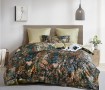Комплект постельного белья Евро, египетский хлопок Premium 2317-6 Комплект постельного белья Евро, египетский хлопок Premium 2317-6