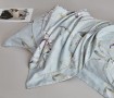 Комплект постельного белья Евро, фланель из египетского хлопка 2301-6