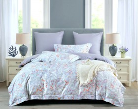 Комплект постельного белья Евро стандарт, египетский хлопок ПРЕМИУМ 2389-6  