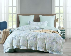 Комплект постельного белья Евро стандарт, египетский хлопок ПРЕМИУМ 2392-6  